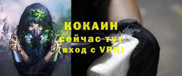 соль ск Бронницы