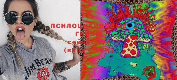 соль ск Бронницы