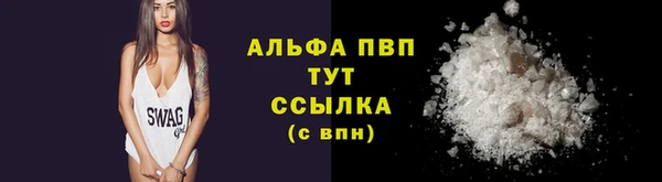 ешки Бородино