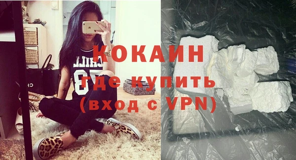 ешки Бородино