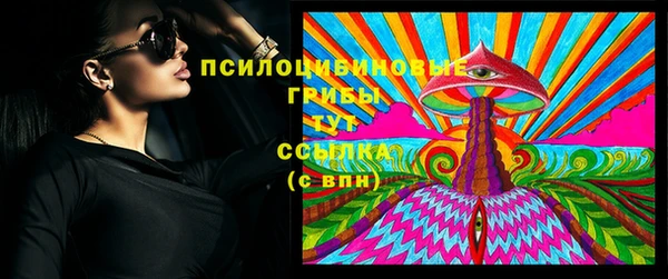 ешки Бородино