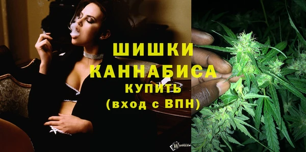 ешки Бородино