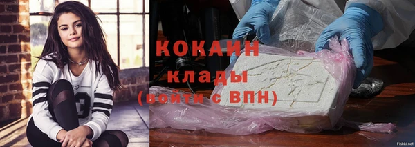 ешки Бородино